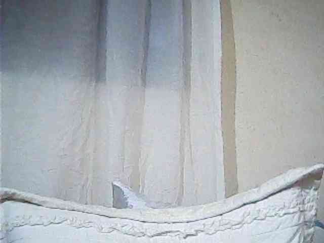 Lekah webcam