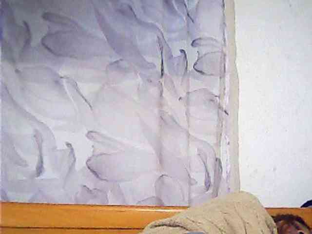 Lekah webcam