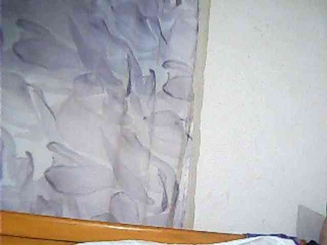 Lekah webcam