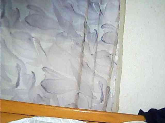 Lekah webcam