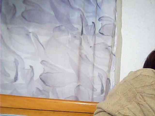 Lekah webcam