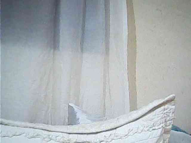 Lekah webcam