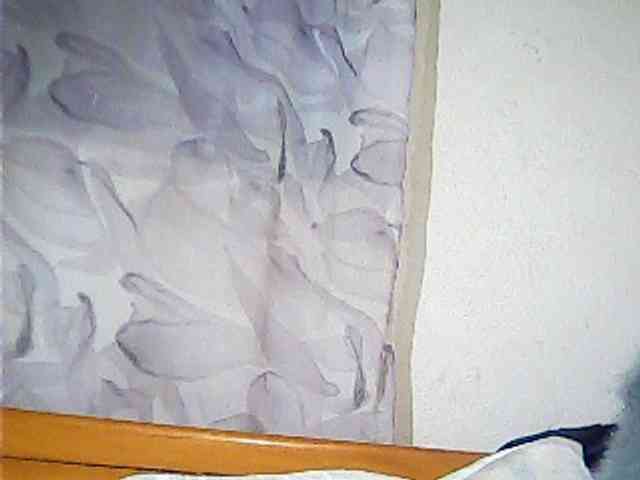 Lekah webcam