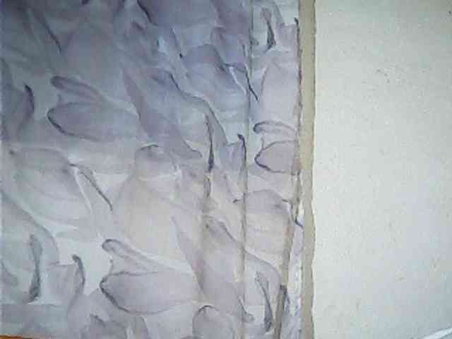 Lekah webcam