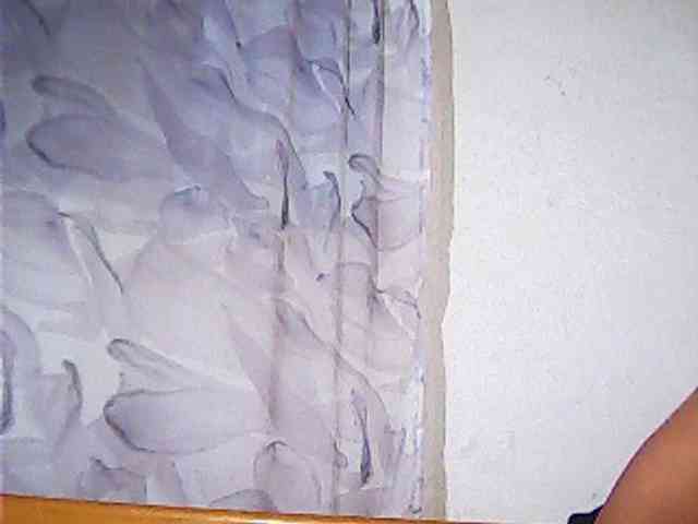 Lekah webcam