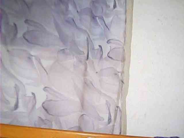 Lekah webcam