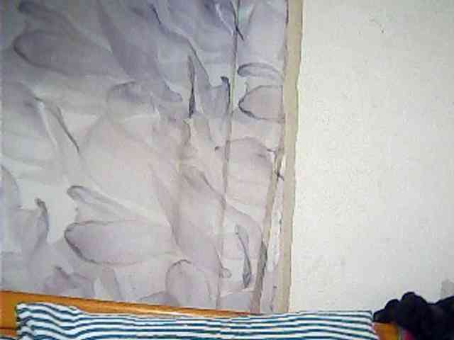 Lekah webcam