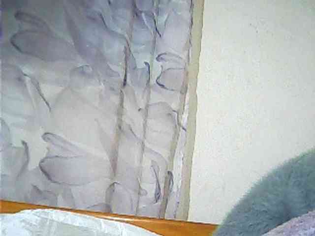 Lekah webcam