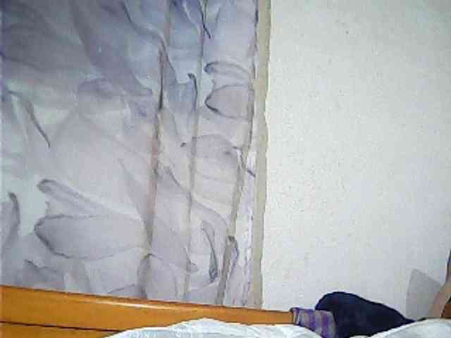 Lekah webcam