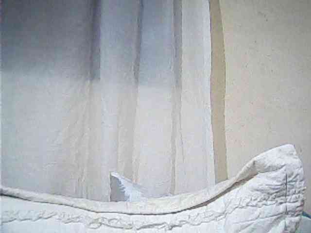 Lekah webcam