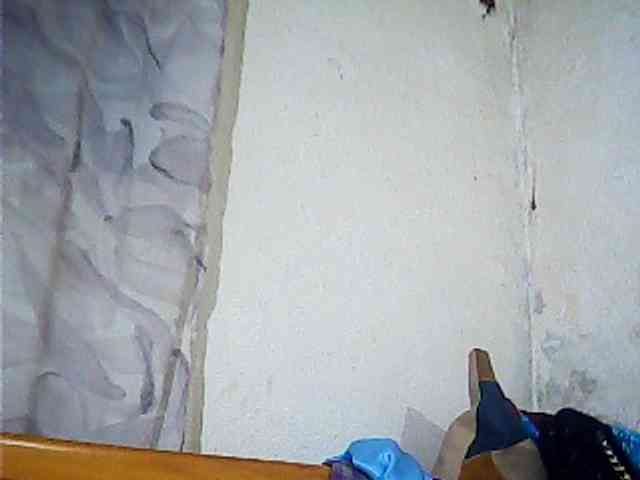 Lekah webcam
