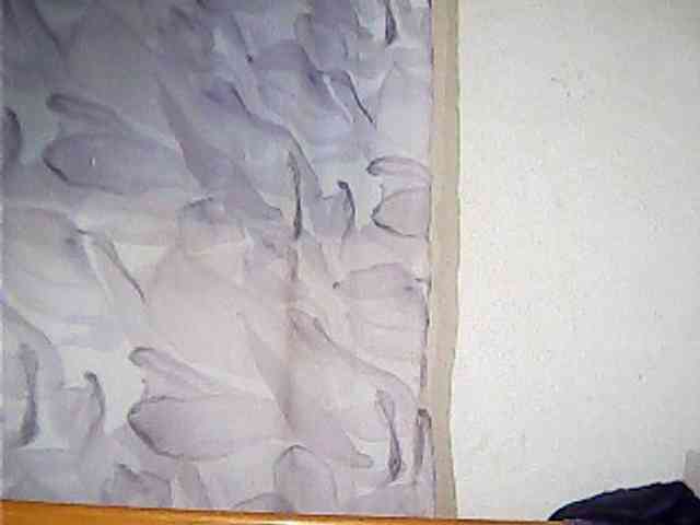 Lekah webcam
