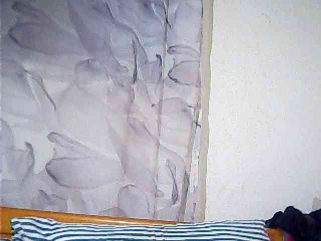 Lekah webcam
