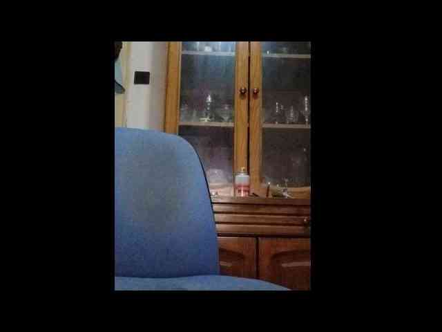 WildJoMann WildJoMann