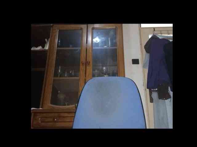 WildJoMann WildJoMann