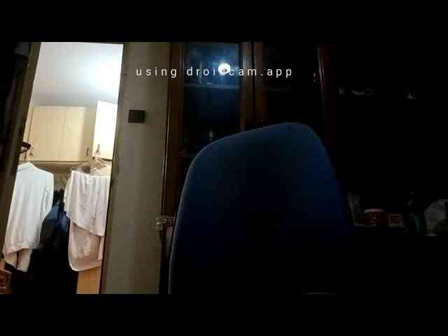 WildJoMann WildJoMann