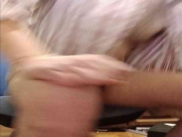 WildJoMann WildJoMann