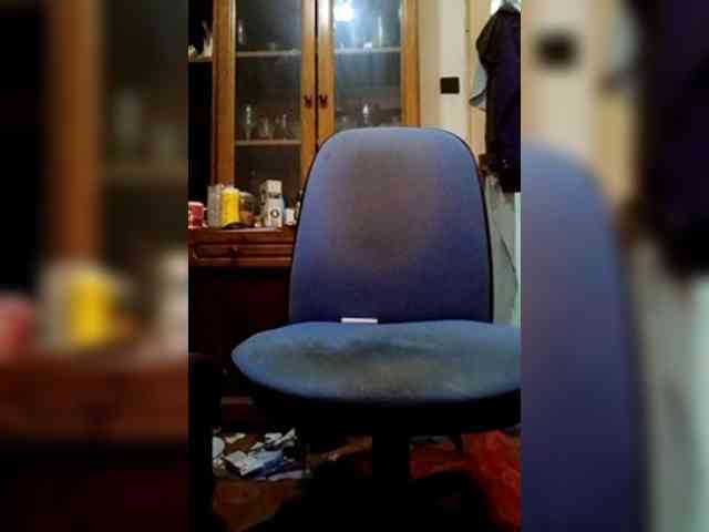 WildJoMann WildJoMann