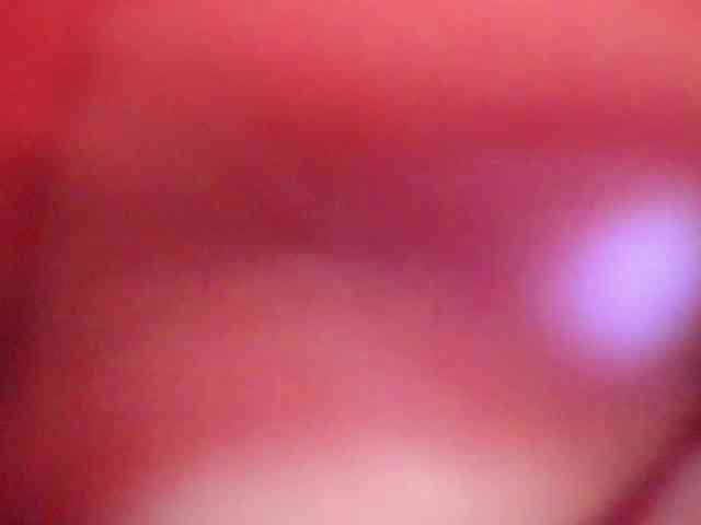 Модель: roon-ofdestruction1