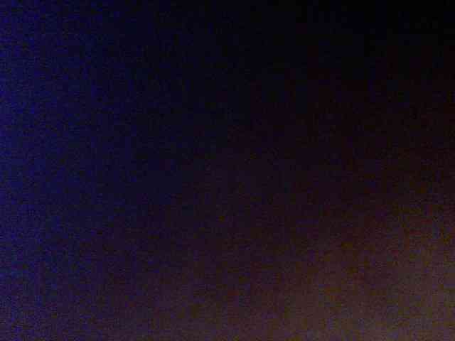 Babybambi webcam