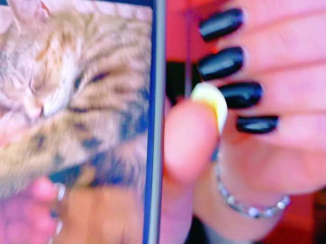 IchTahira's BongaCams show and profile