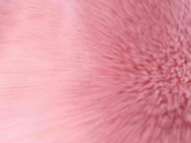 lexibby69 webcam