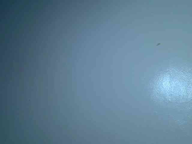 Bubblybooty webcam