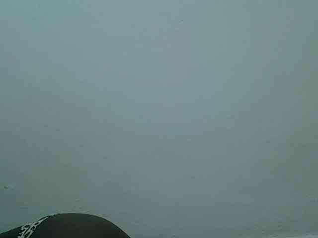 Bubblybooty webcam