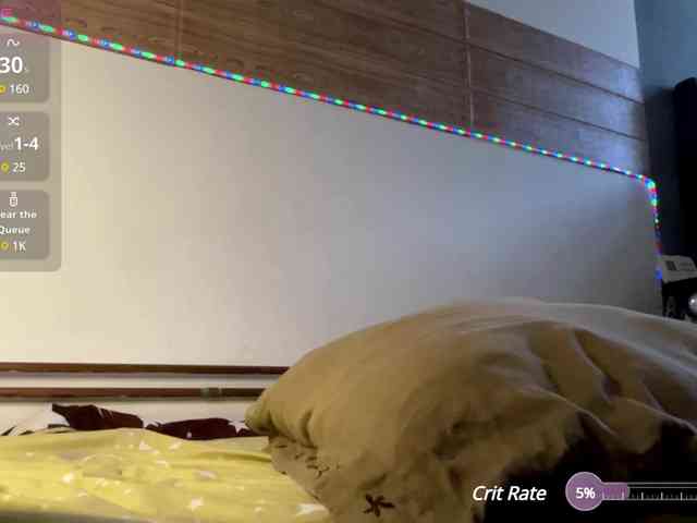 Delisajade webcam