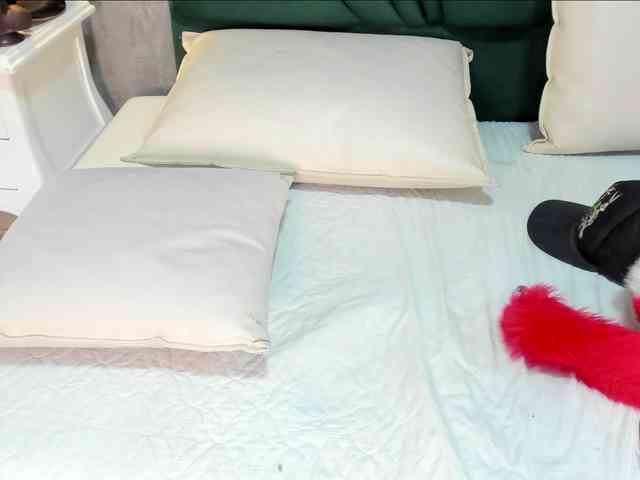 Barbye-Jones webcam