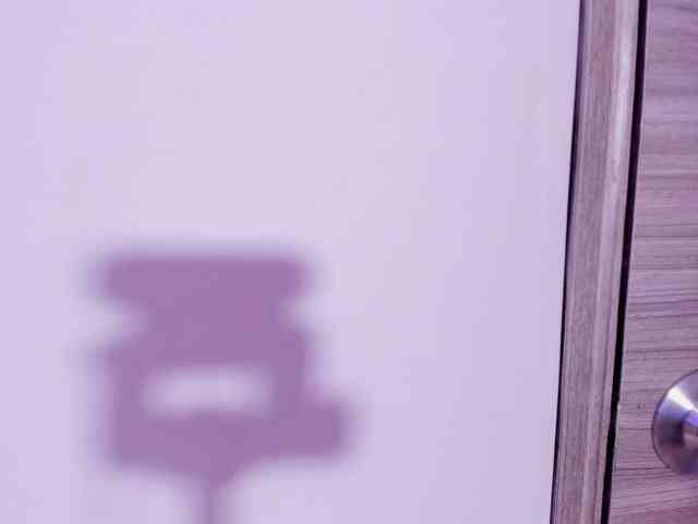 Niaa-Brusher webcam