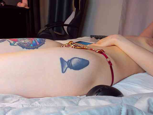 TenderLionett webcam