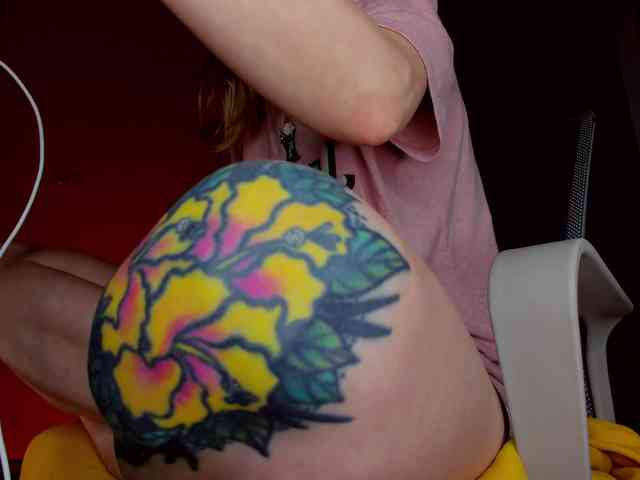 TenderLionett webcam