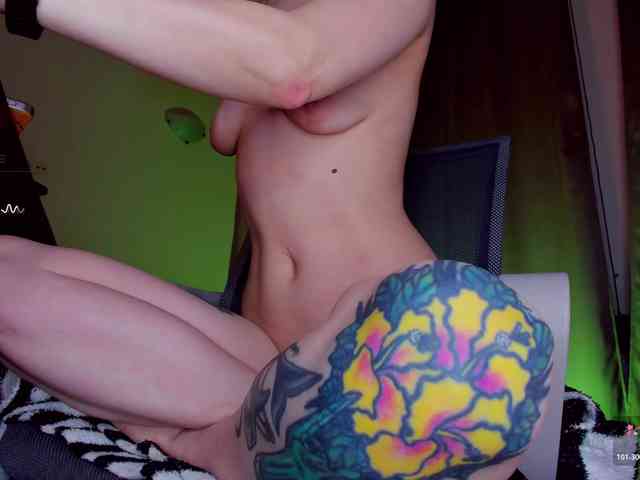 TenderLionett webcam