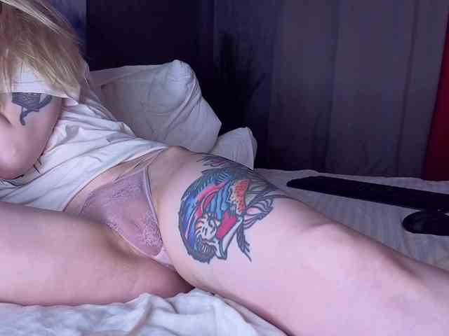 TenderLionett webcam