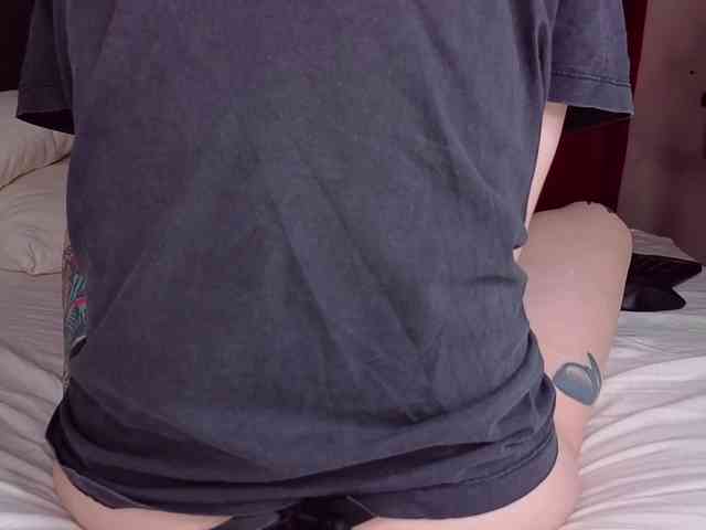 TenderLionett webcam