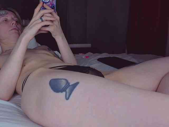 TenderLionett webcam