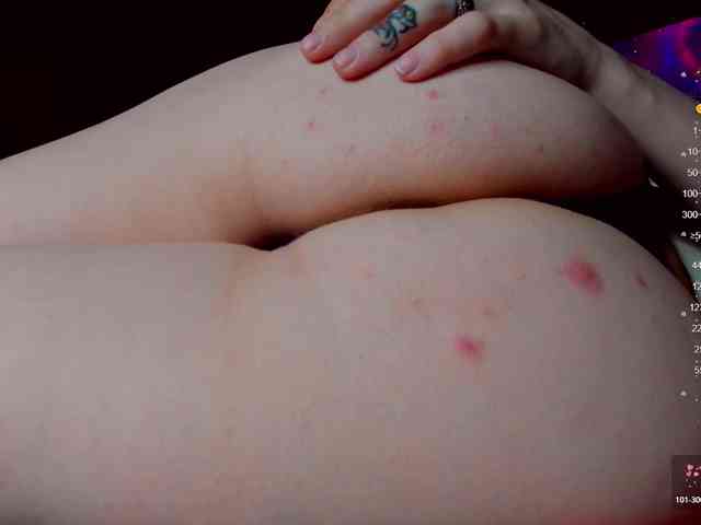 TenderLionett webcam