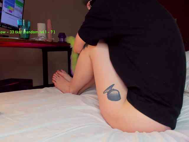 TenderLionett webcam