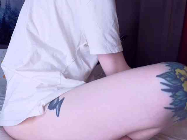 TenderLionett webcam