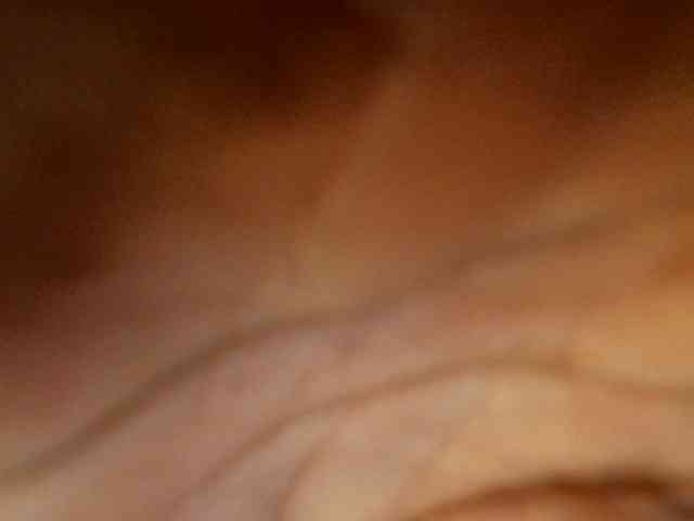 Sweetheartcocomwllow webcam