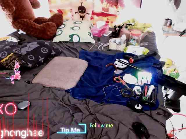 HwanghonghaeHigh Live Webcam on BongaCams