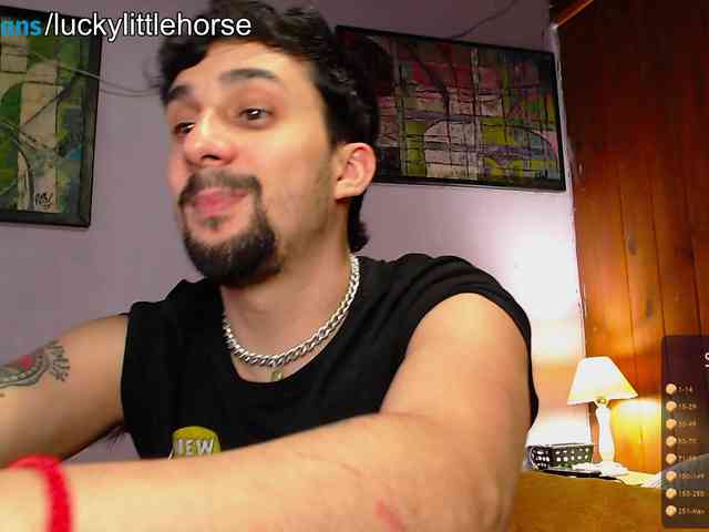 LuckyLittleHorse