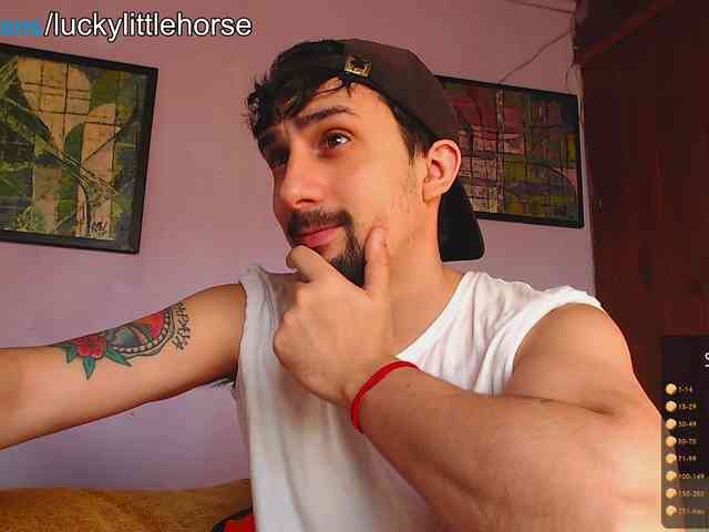 LuckyLittleHorse
