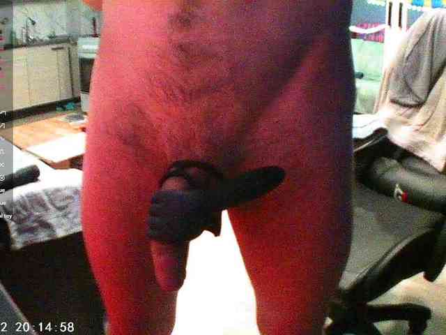 darkwingsex