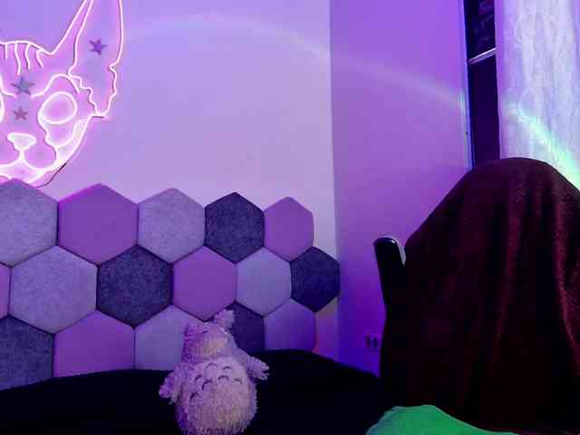 Hubena-tgn webcam