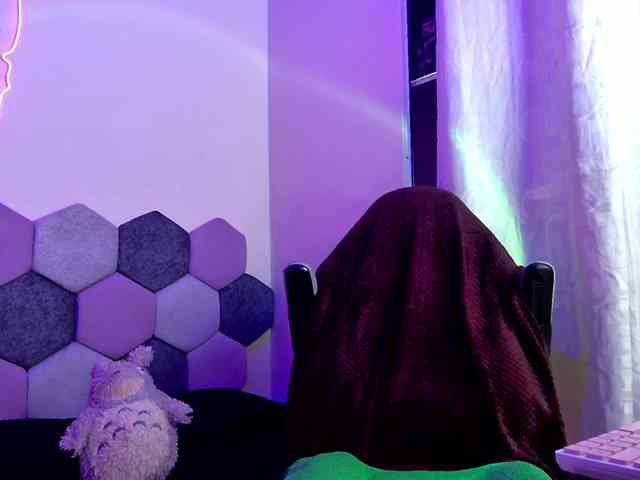 Hubena-tgn webcam