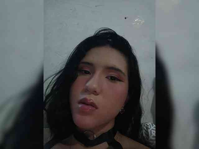 Kitty-midnight webcam