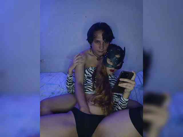Kitty-midnight webcam