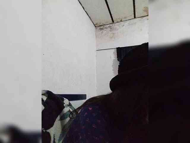 Mila-27 webcam